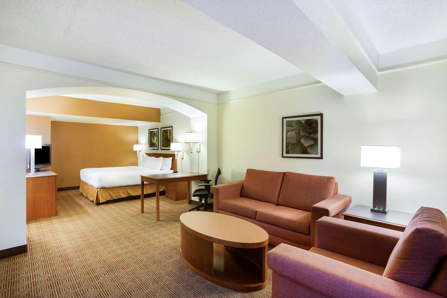 La Quinta Inn by Wyndham Austin Capitol / Downtown 26/43