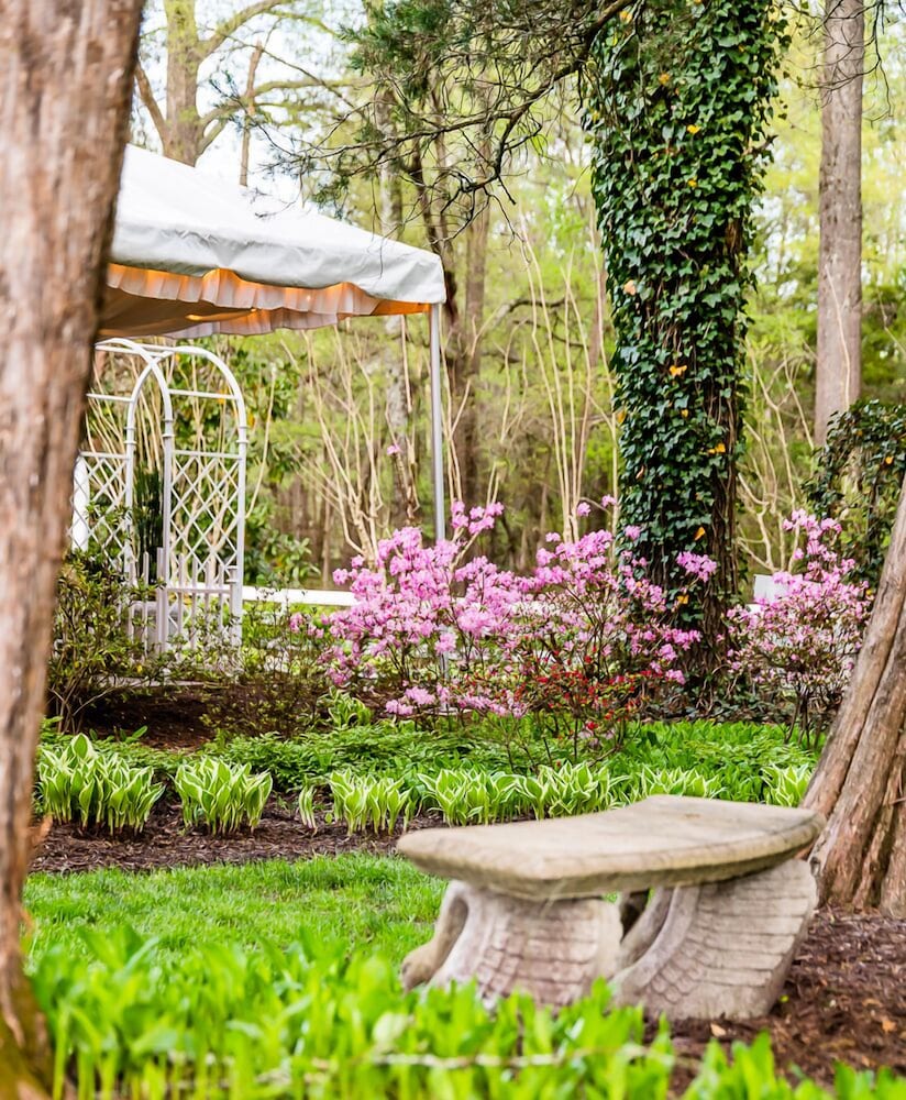 The Virginia Cliffe Inn 41/50
