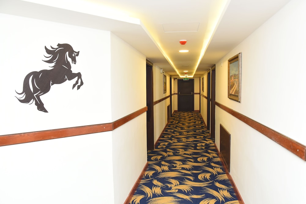 Sparr Hotel 20/66
