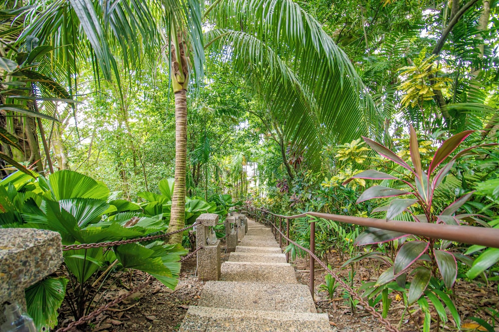 Hotel Costa Verde 45/50