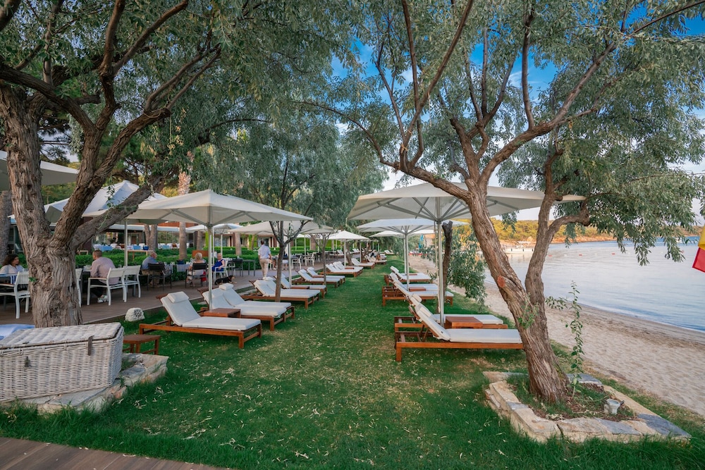 Ortunc Hotel Boutique Class 44/50