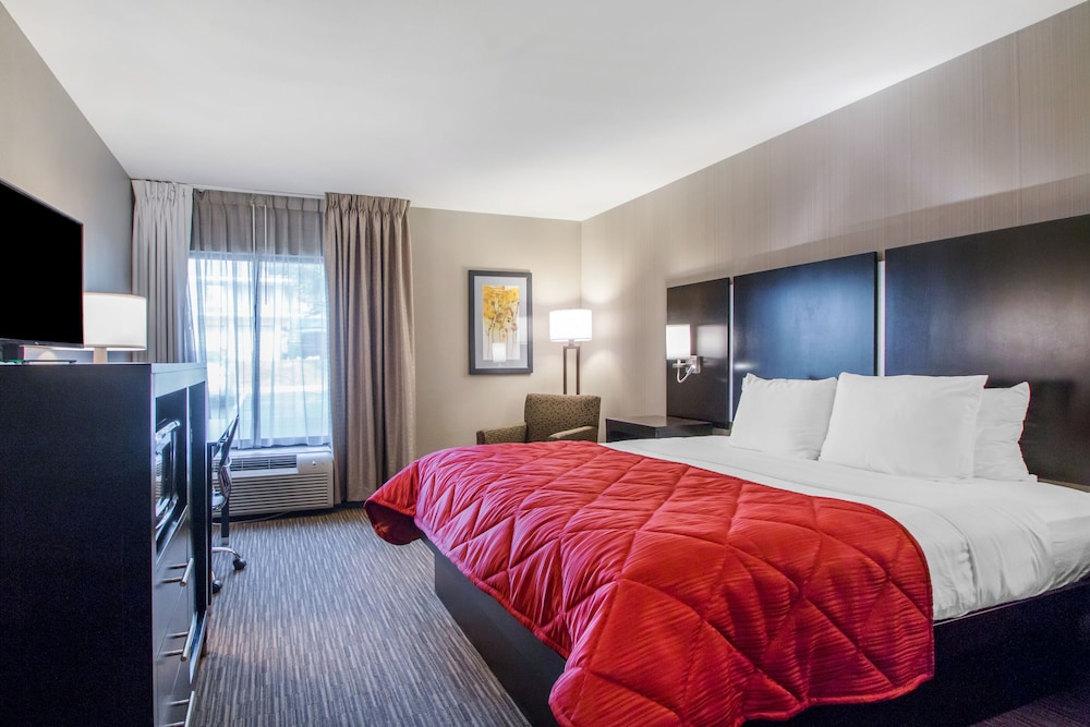 Best Western Courtview Hotel 18/68