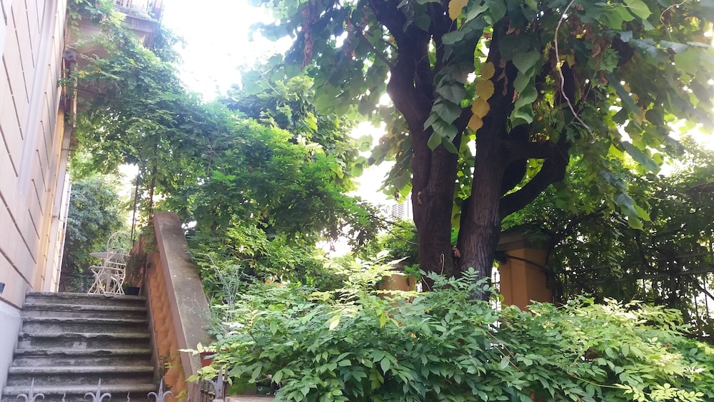Tilia 28/41
