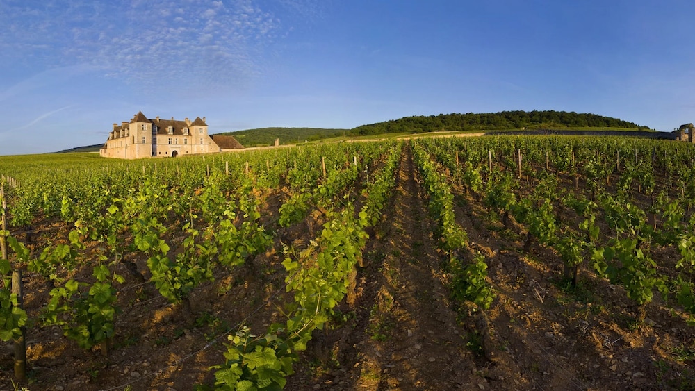 Hostellerie Cedre and Spa Beaune 50/55