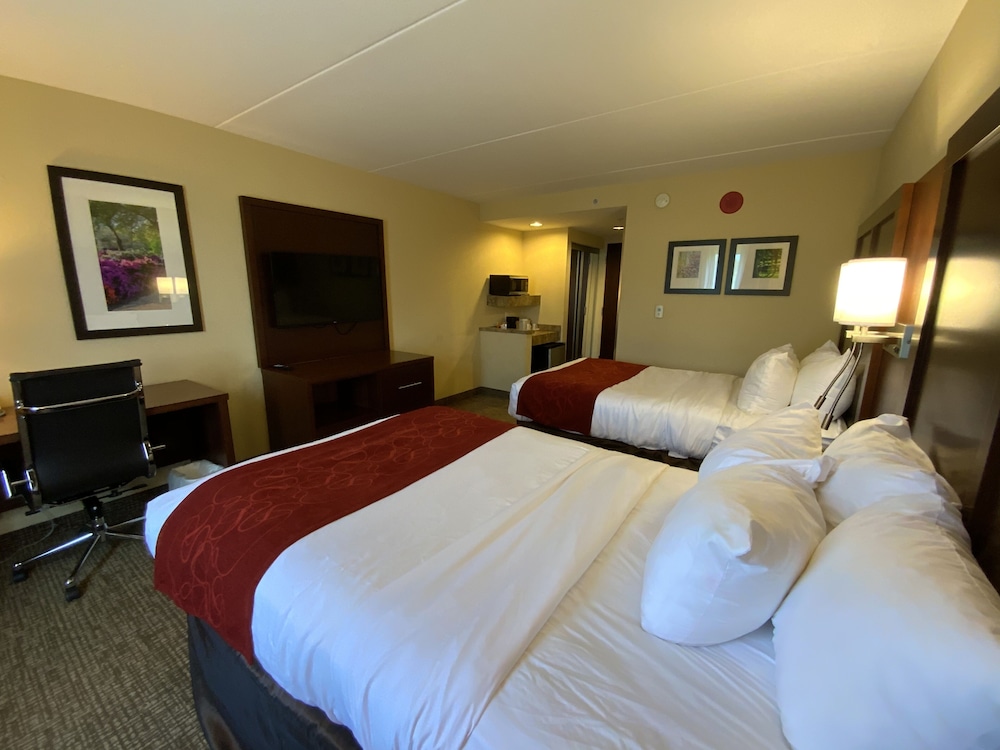 Comfort Suites Fredericksburg North 13/35