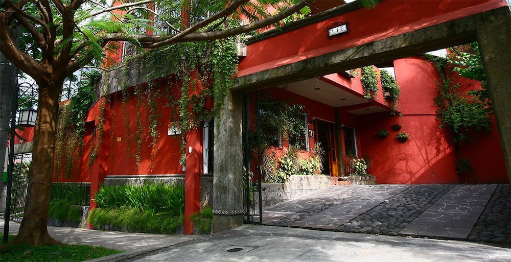 Arbol de Fuego 3/63
