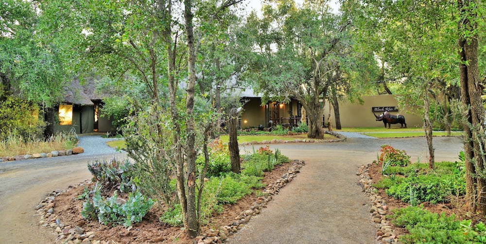 Black Rhino Game Lodge 9/69