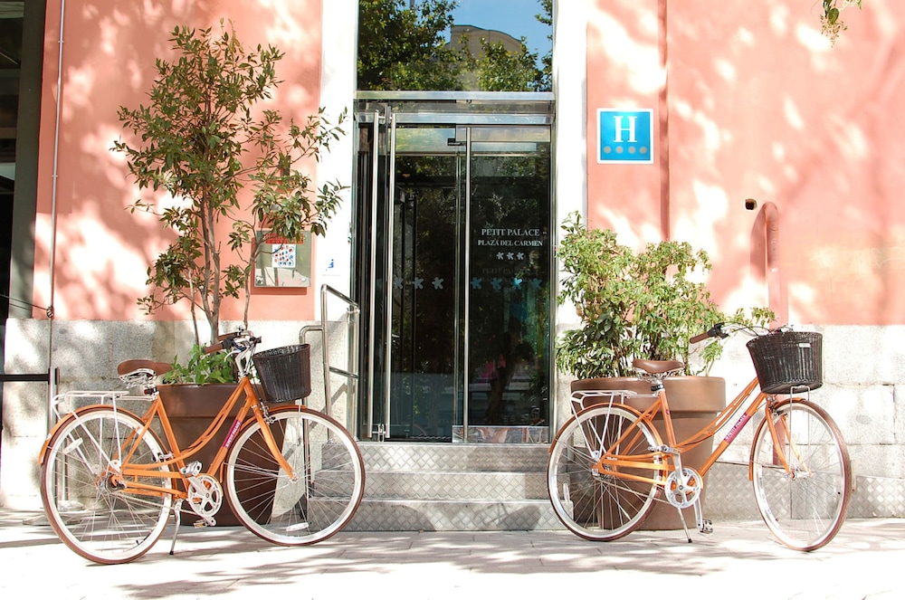 PETIT PALACE PLAZA DEL CARMEN 3/56