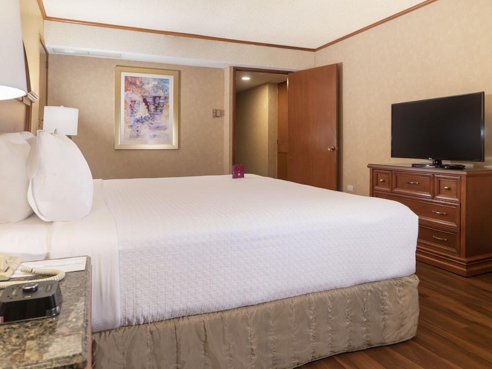 Crowne Plaza Monterrey 27/74