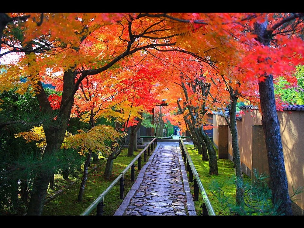 Ryokan Nenrinbo 40/50