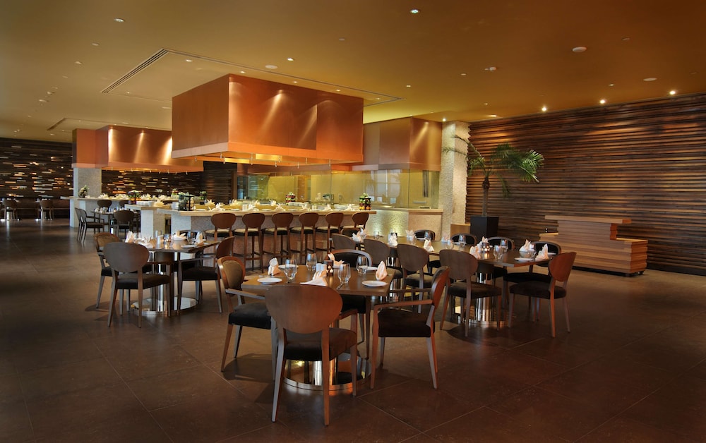 Radisson Blu New Delhi Paschim Vihar 38/50