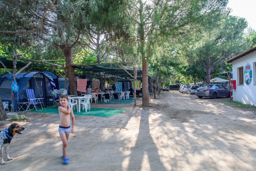 Camping Pitsoni 36/50