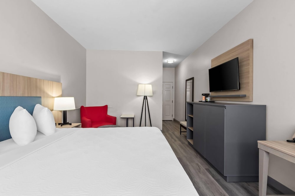 Room, King Bed