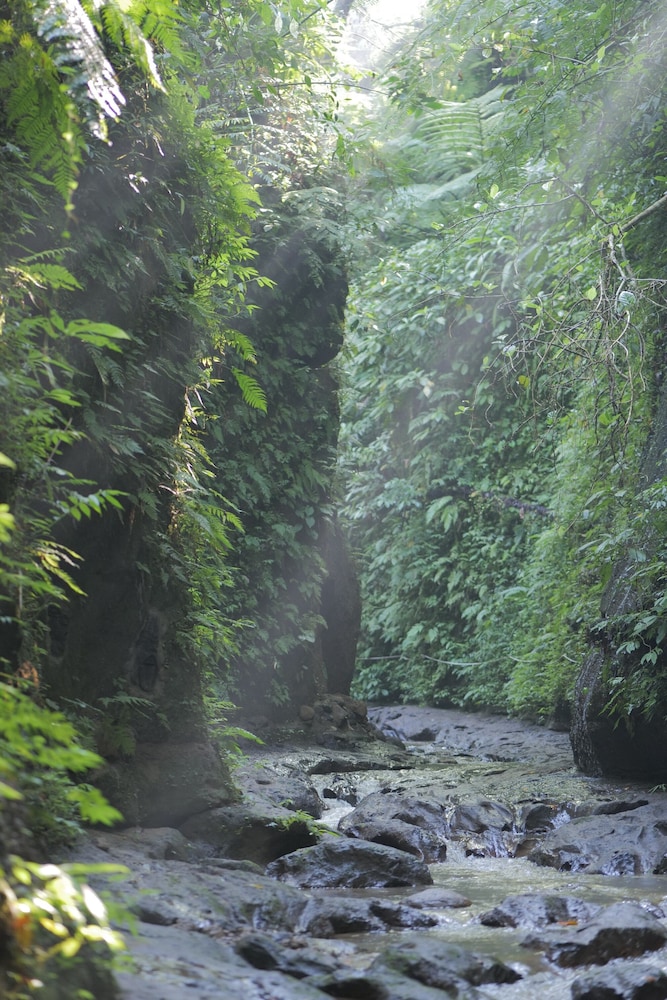 Pramana Giri Kusuma 41/49