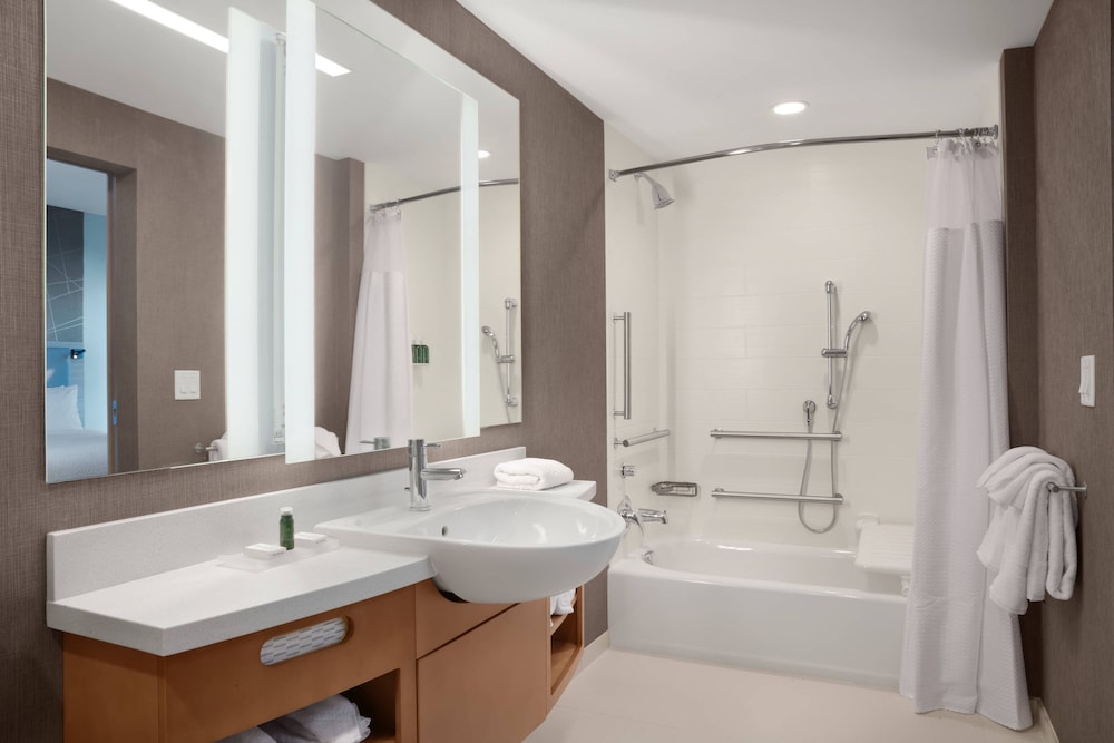SpringHill Suites by Marriott Orlando Theme Parks/Lake Buena Vista 14/62