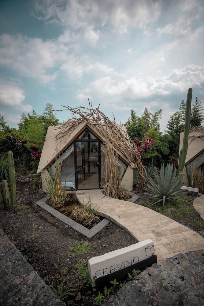 Bosque Geometrico 5/50
