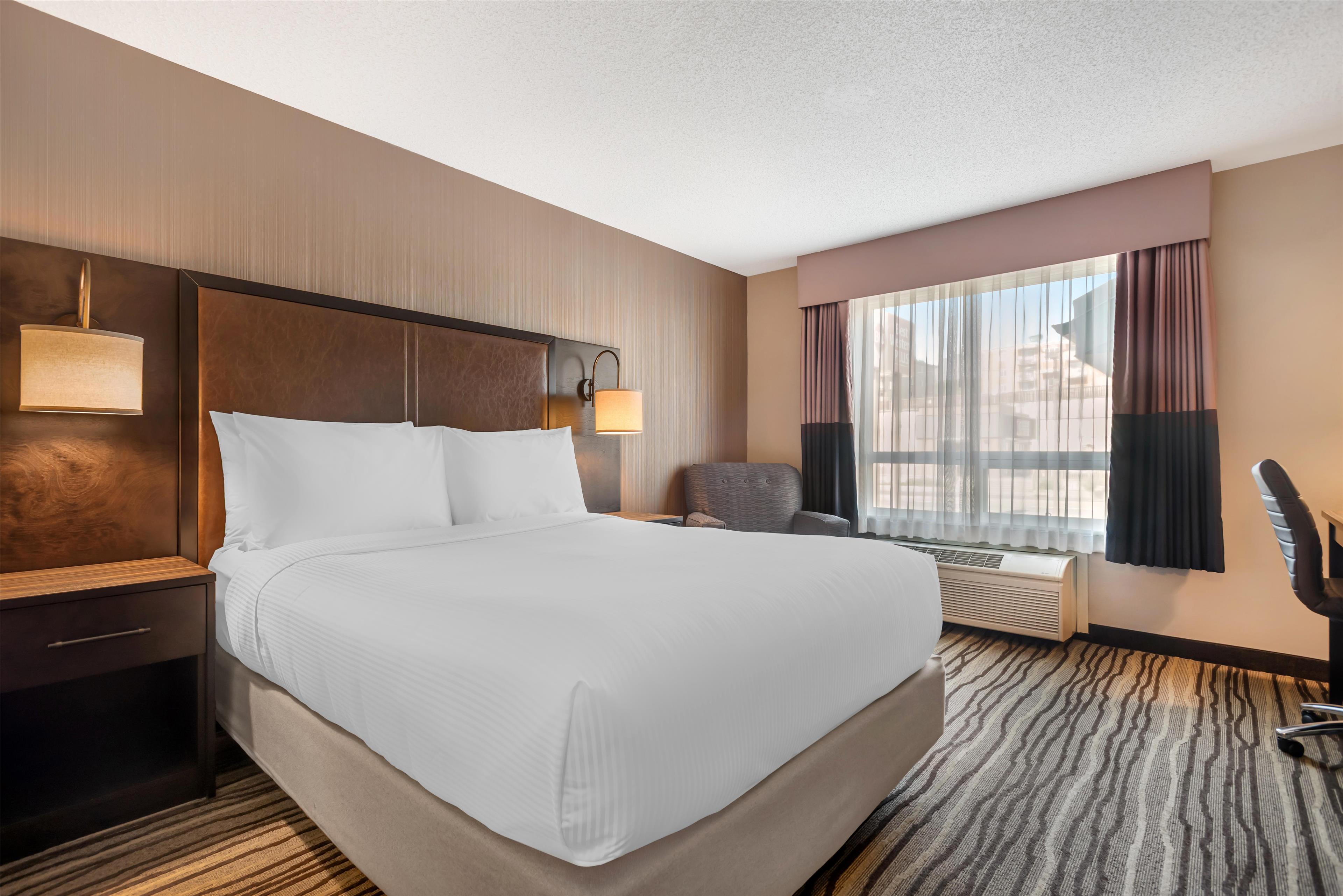 Room, Double Bed, Accessible
