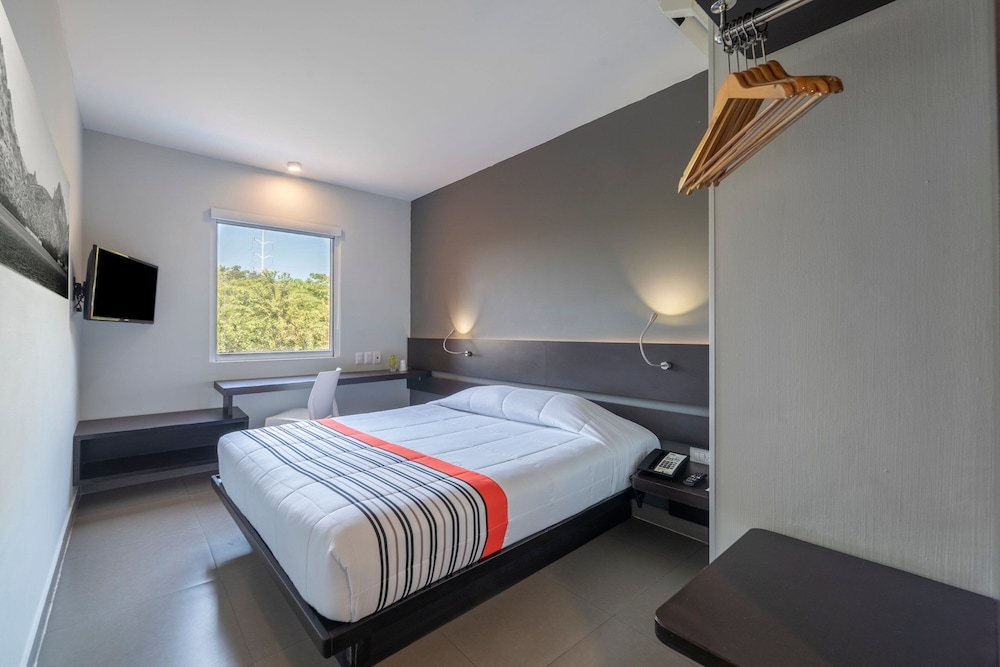 Room, Queen Bed