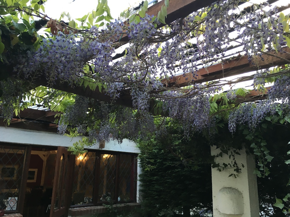 The Cottage Inn Hotel 1/13