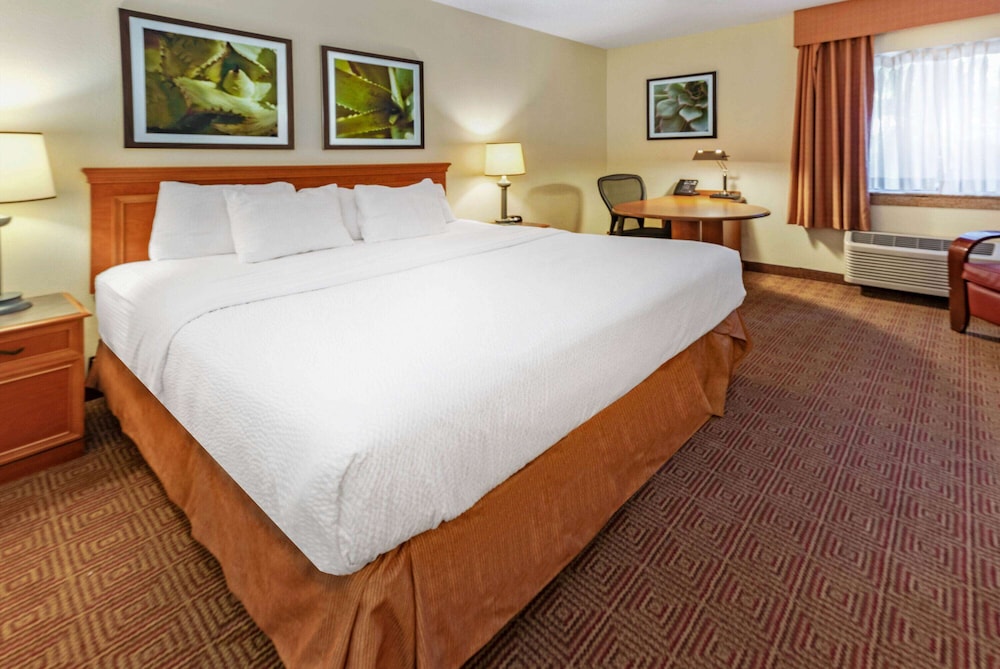 La Quinta Inn And Suites By Wyndham Tampa Brandon West 29/53