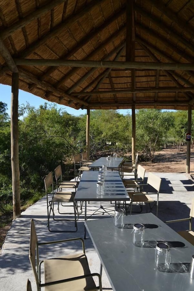 Wild Olive Tree Camp 8/20