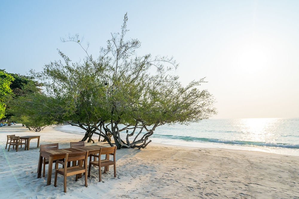 Paradee Resort 37/50