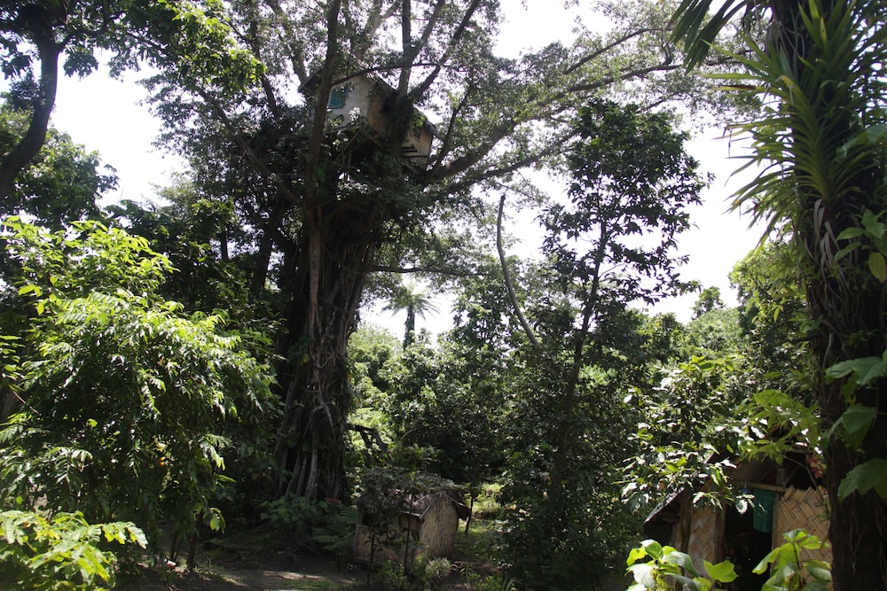 Tanna Lava View Bungalows 38/50