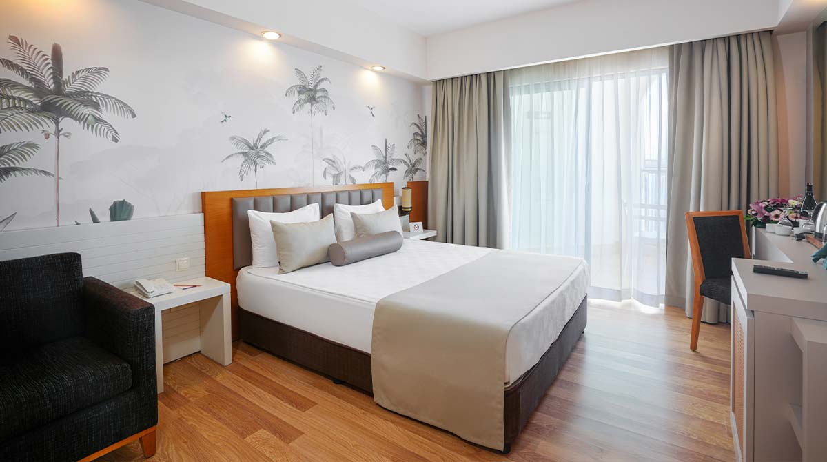 Room, Single, Land View