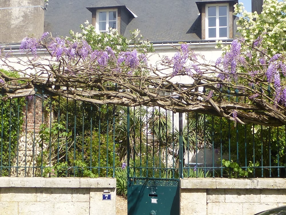 La Petite Vigne 33/37