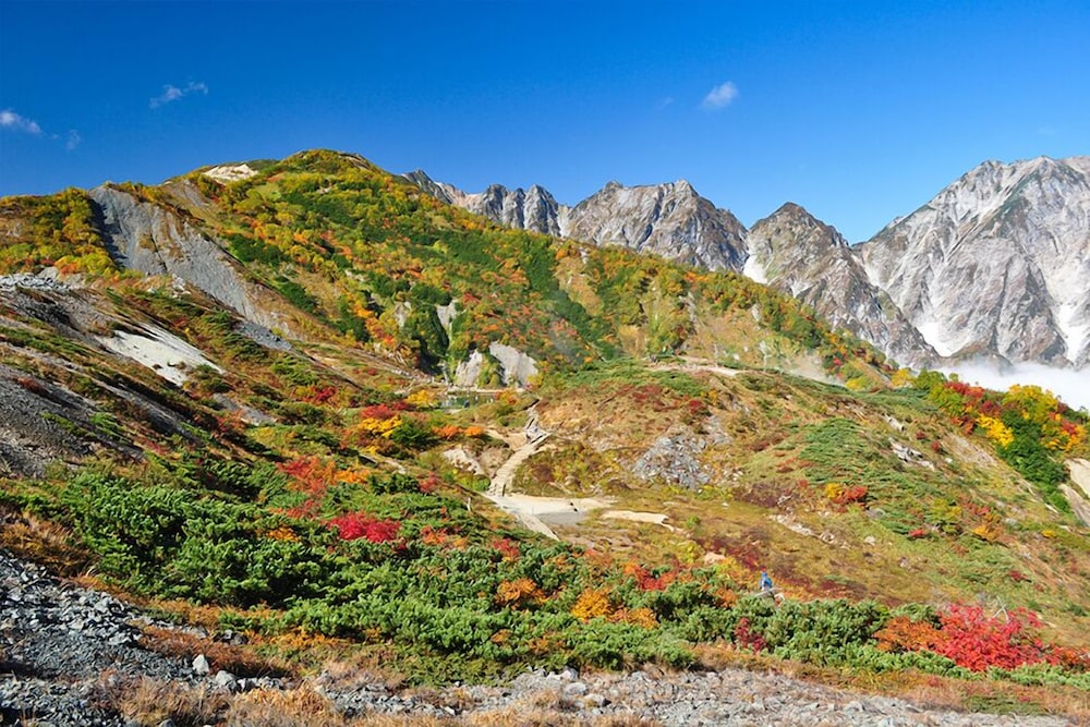 Reposer Hakuba 3/72
