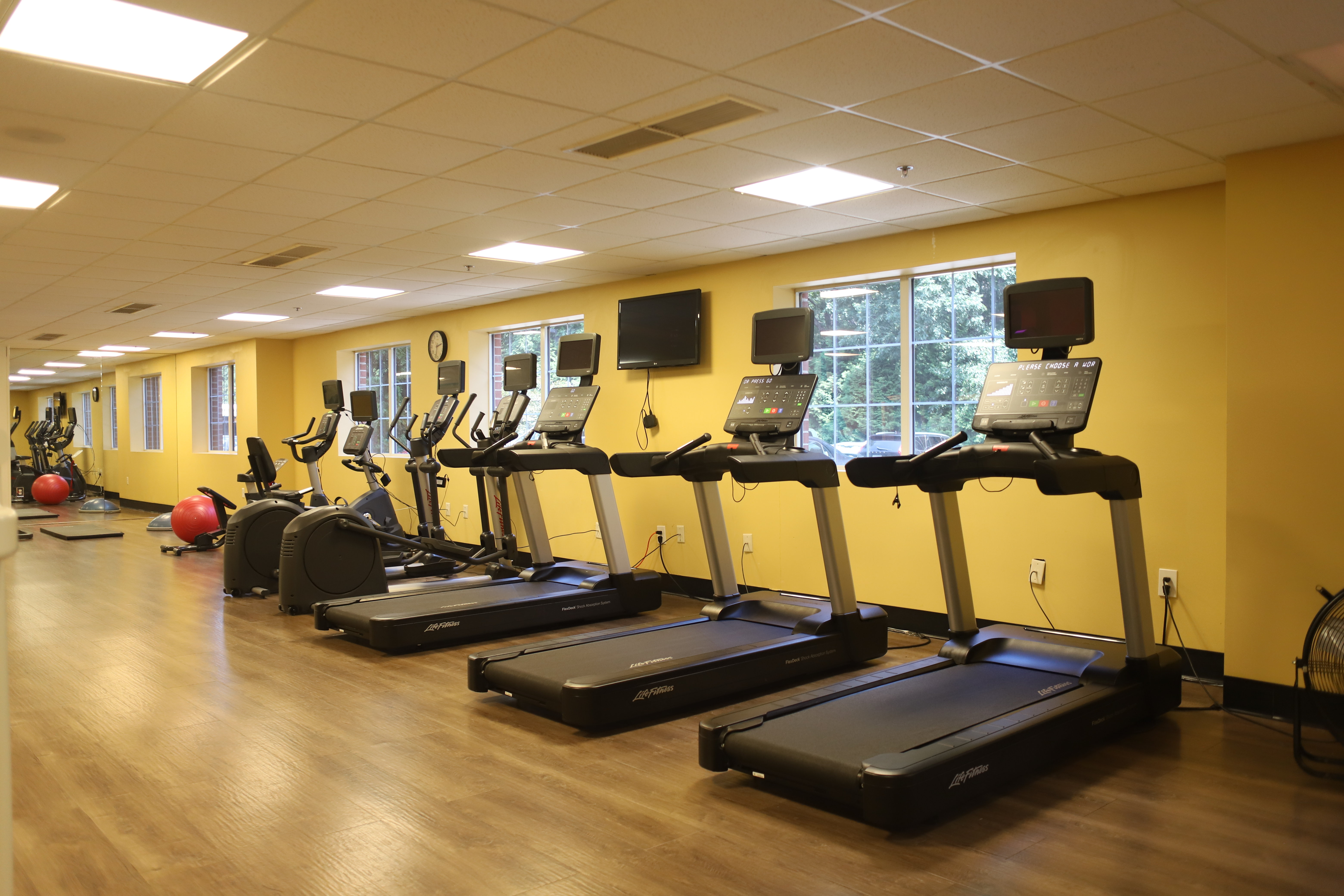 HOLIDAY INN EXPRESS & SUITES CHARLOTTESVILLE - RUCKERSVILLE 29/54