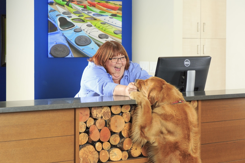 Accent Inns Kamloops 50/54
