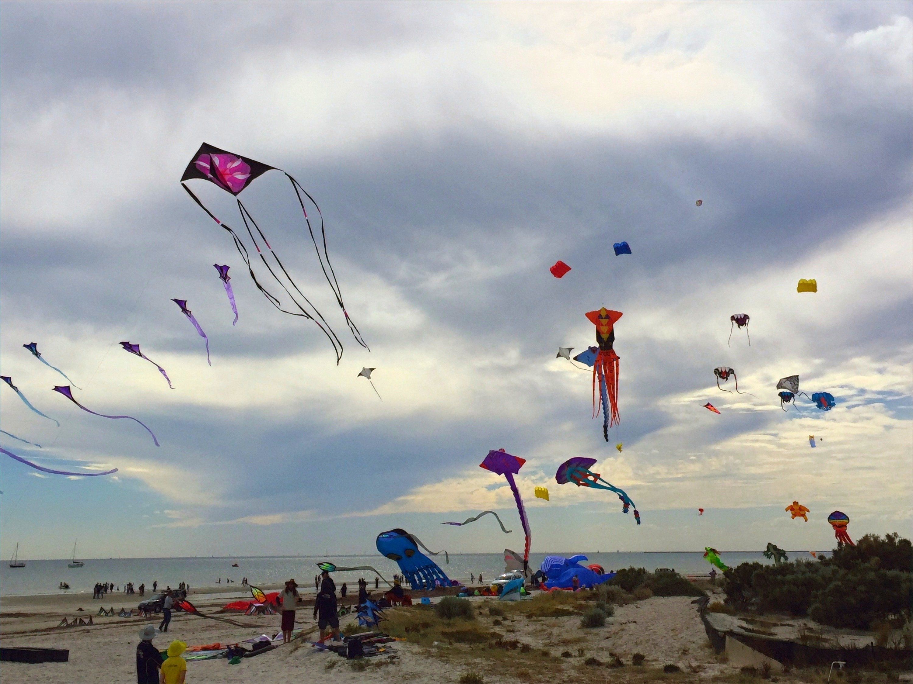 Semaphore Splash Apartments 44/50