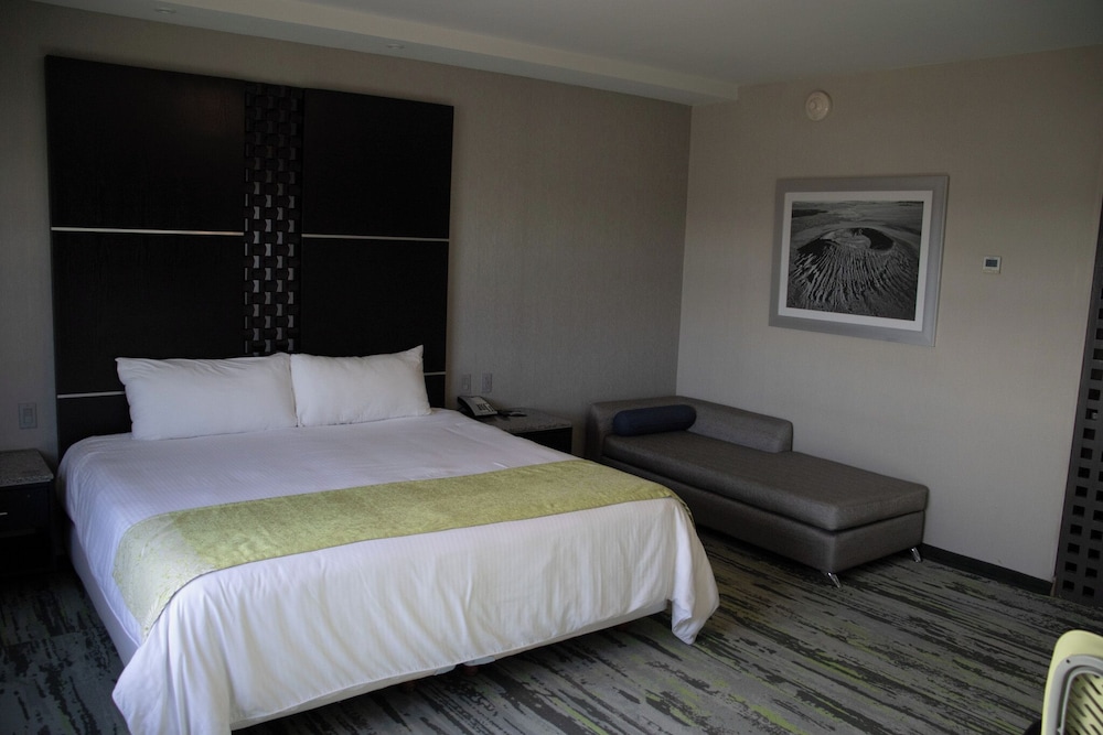 Executive, King Bed