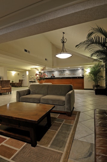 Maple Tree Inn 5/40
