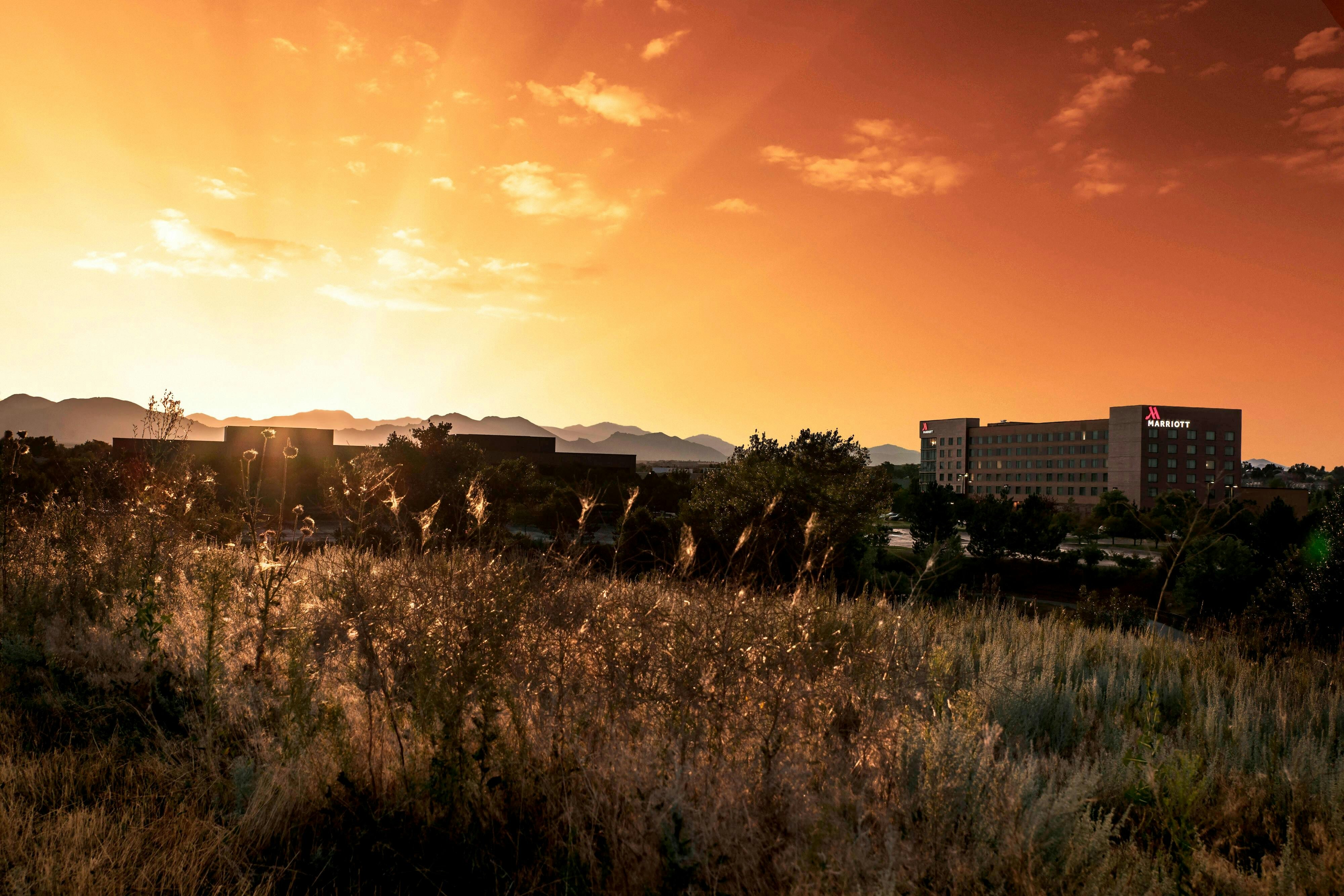 Denver Marriott Westminster 31/34