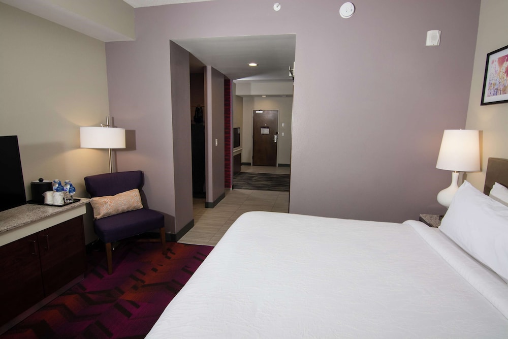 Hilton Garden Inn Tampa Suncoast Parkway 15/53