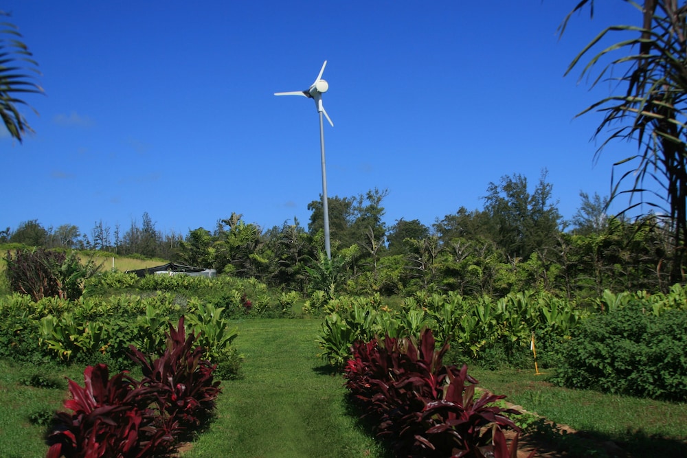 Hawaii Island Retreat 59/66