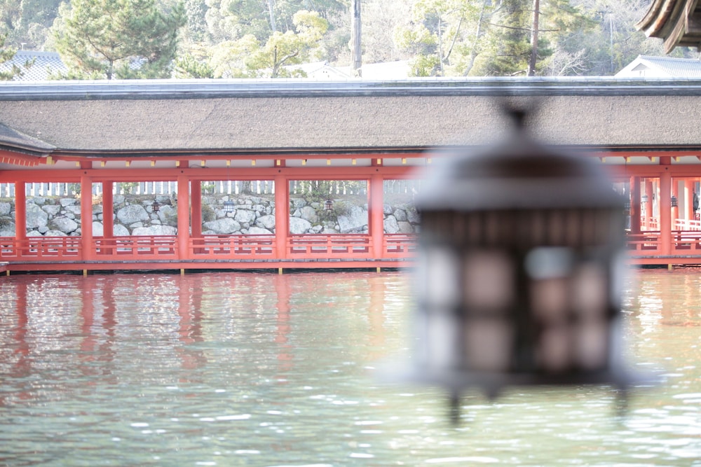 Itsukushima Iroha 24/50