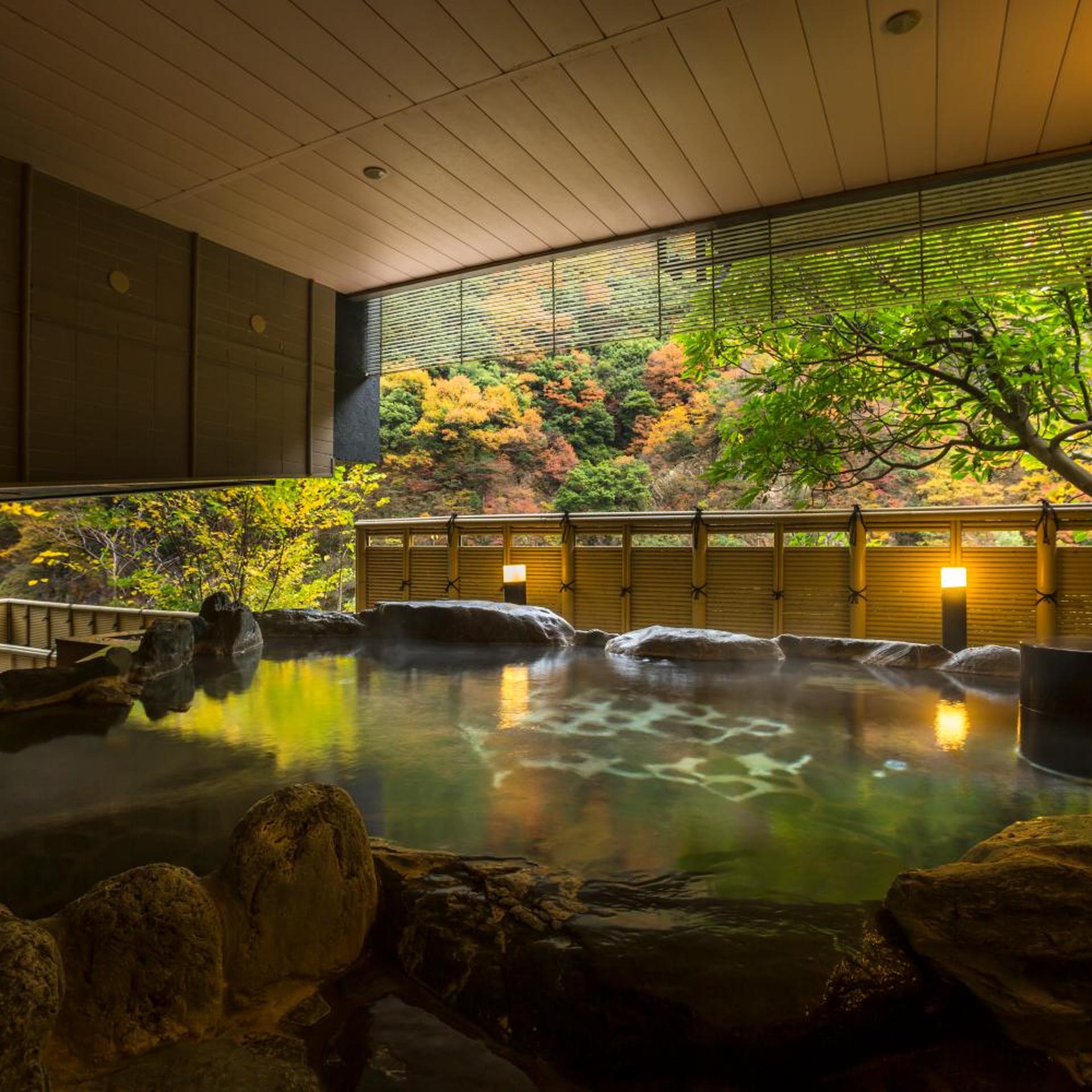 RYOKAN ENRAKU 22/49