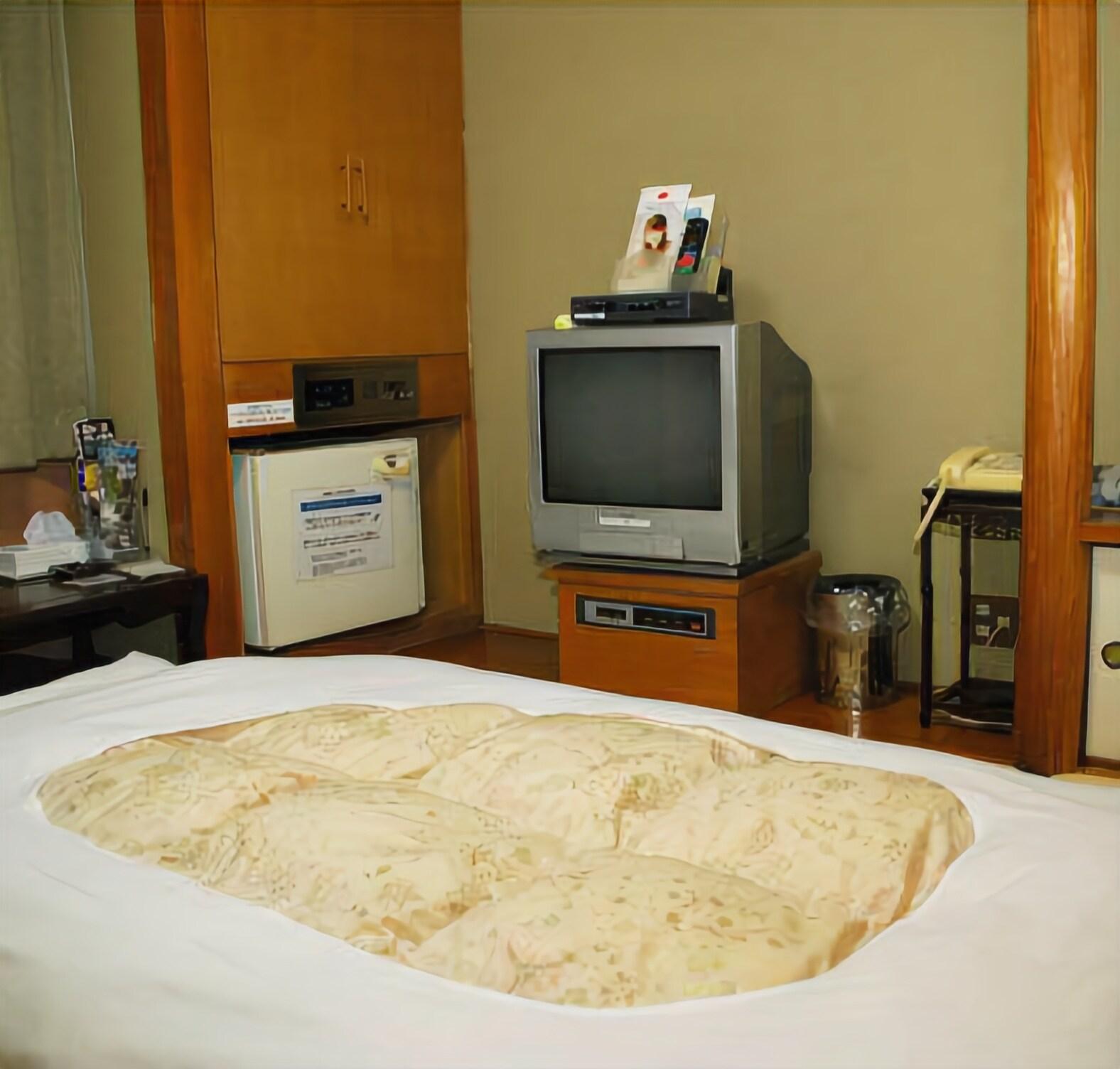 Hotel Los Inn Kochi 19/43