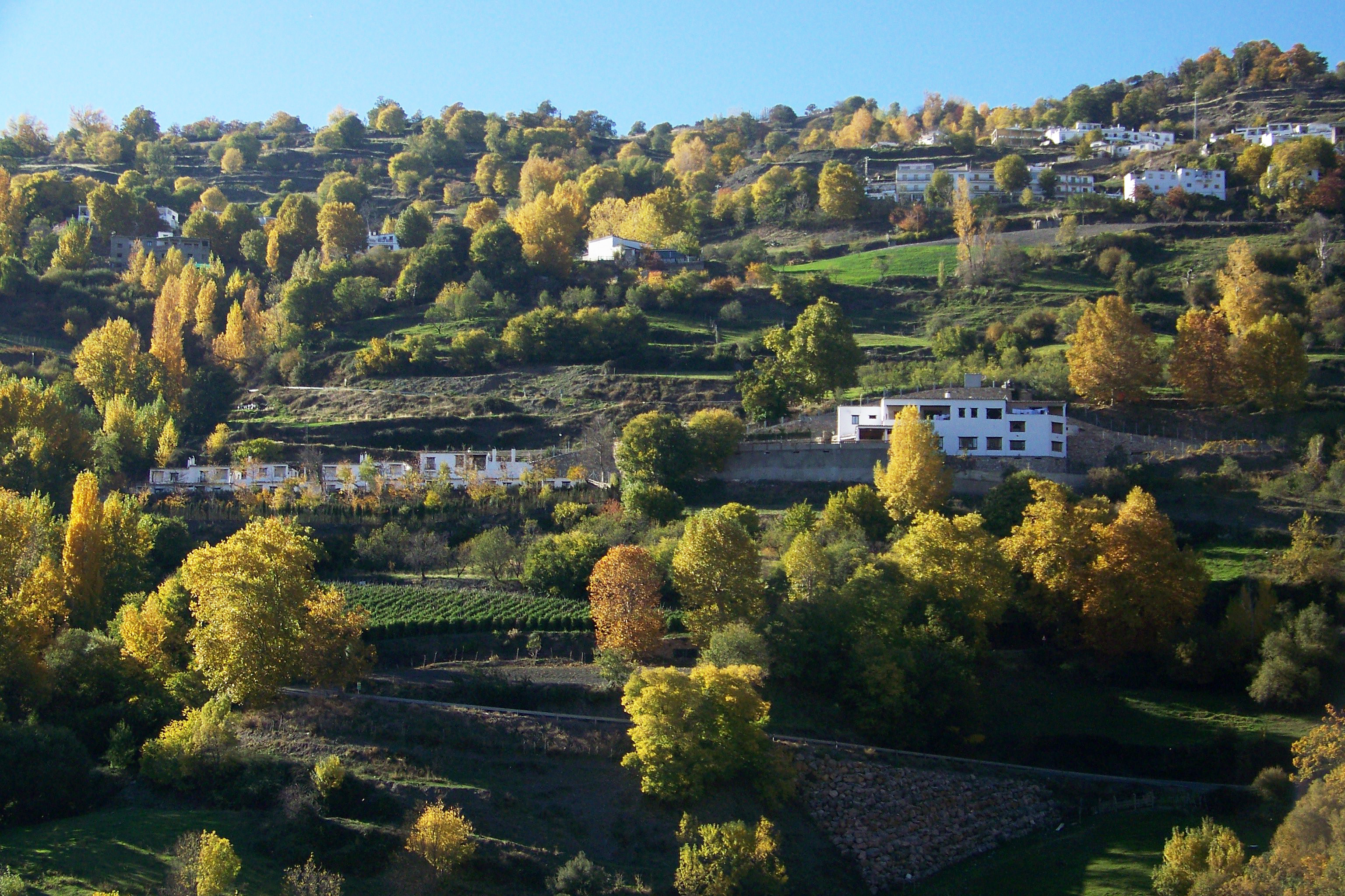 El Cercado Turismo Rural & SPA 5/15