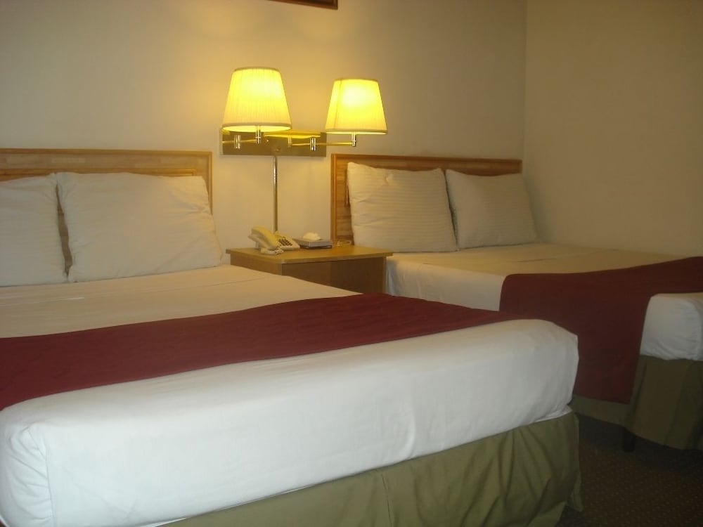 Hotel Mediterraneo Plaza photo5