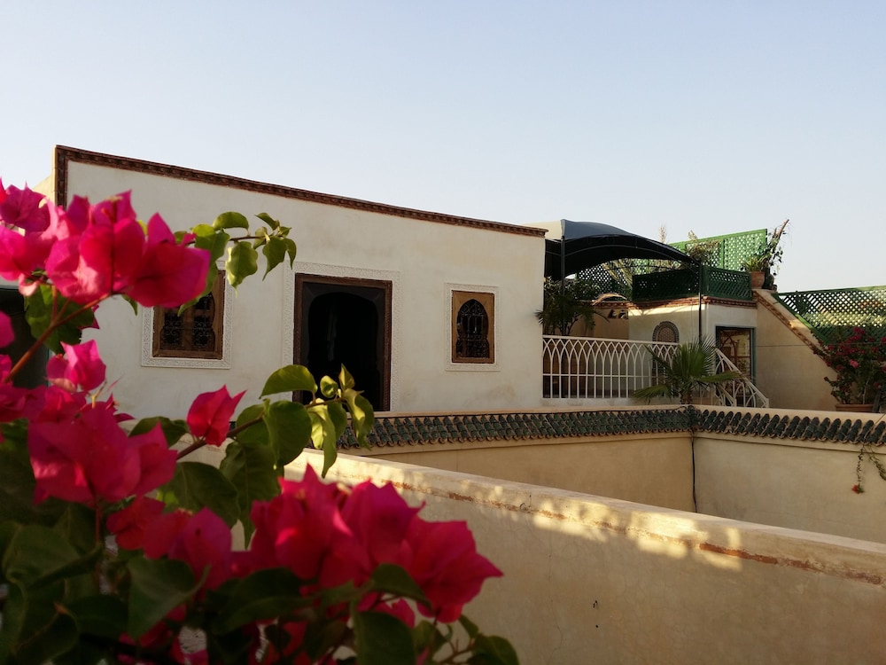 Riad Puchka 5/50
