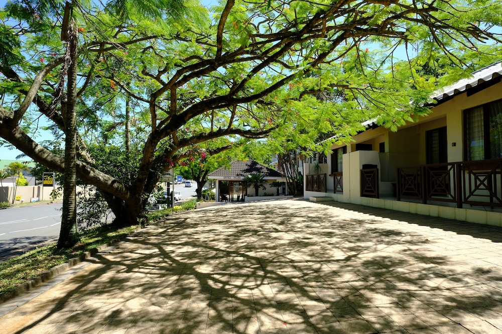 St Lucia Palms 40/50