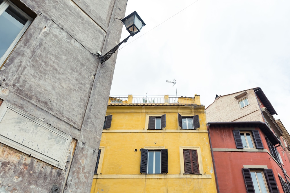 Navona Home 1/50