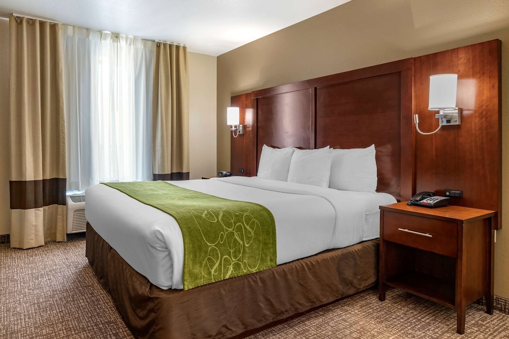 Suite, King Bed, Sofa, Accessible