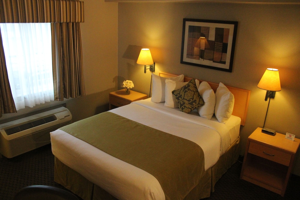 Efficiency, Suite, Queen Bed, Smoking