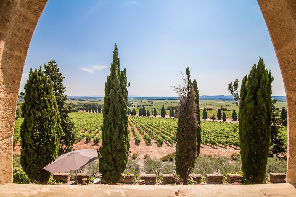 Host Du Chateau Des Fines Roches 29/40