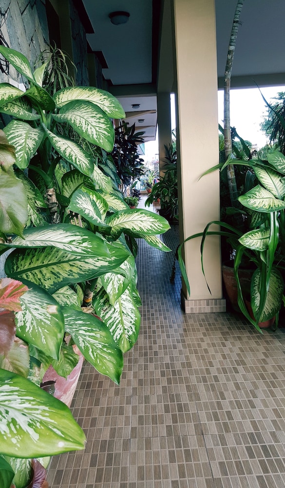 Nanohana Lodge 49/58